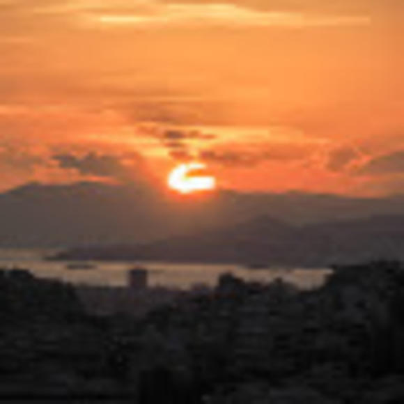 Meet your Posher, Tara - Picture 1 of 1